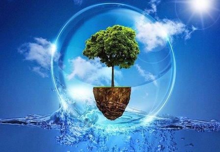 Cehiman - Sanidad Ambiental - Control de Plagas