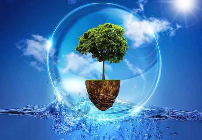 Cehiman - Sanidad Ambiental - Control de Plagas