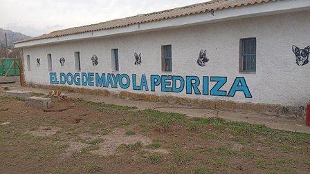 Guardería canina El dog de mayo La Pedriza