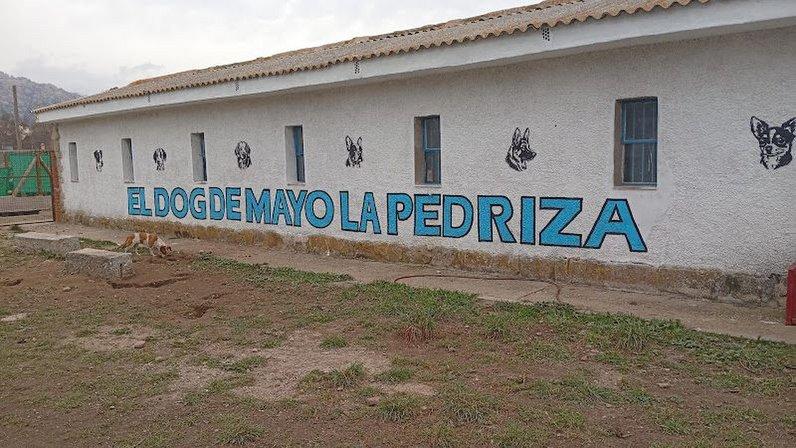 Guardería canina El dog de mayo La Pedriza