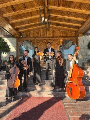 Violinista en Madrid: Músicos para eventos