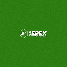 Consortium Serex S L