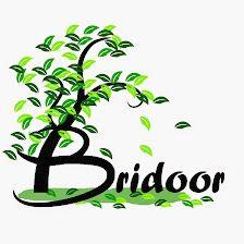Bridoor, Móstoles