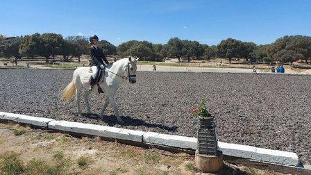 Caballos de Ermo