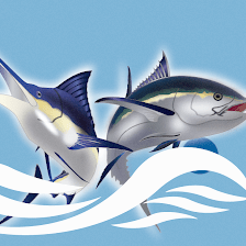 Pescados de la iglesia s.a