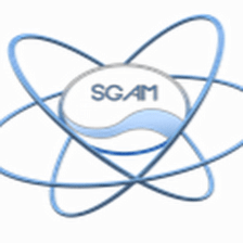 Service Global Andrei Madalin SL