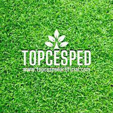 Topcespedartificial
