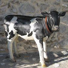 Parrilla El Rancho