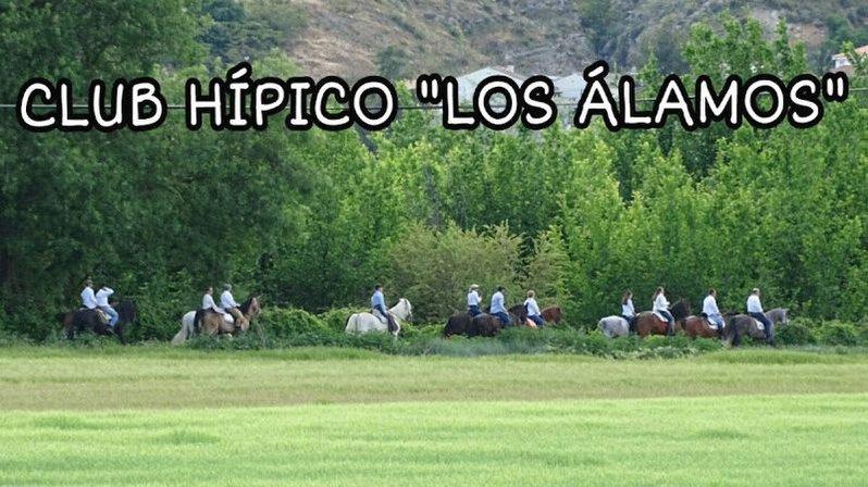Club Hípico Los Álamos