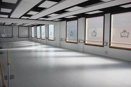 Escuela de Ballet - Ecole Française de Danse