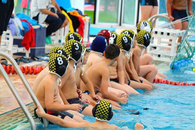 Waterpolo Brains