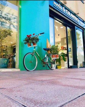 Menta y Cilantro Express