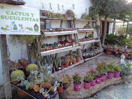 Centro de Jardinería Los Juncos S.L
