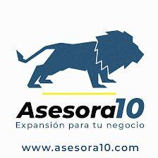 Asesoria de Empresas Madrid Asesora10