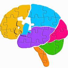 Unidad de Memoria Entrenamiento Cerebral. Preserve S I S L