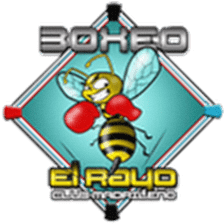 Boxeo El Rayo - Carabanchel Ⅰ
