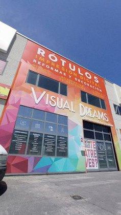 Visual Dreams