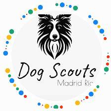 Dog Scouts Madrid Río