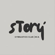 Story Gym