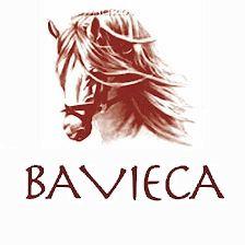 Restaurante Bavieca