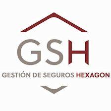 Gestión de Seguros Hexagon