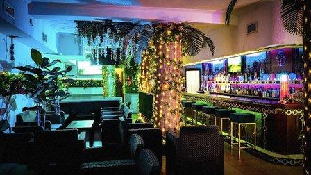 Bar Hawaiano Royalty Kiwai/shishas/cocteleria