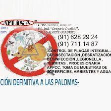 CONTROL DE PLAGAS APLISA S.l. MADRID