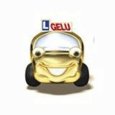 AUTOESCUELA GELU