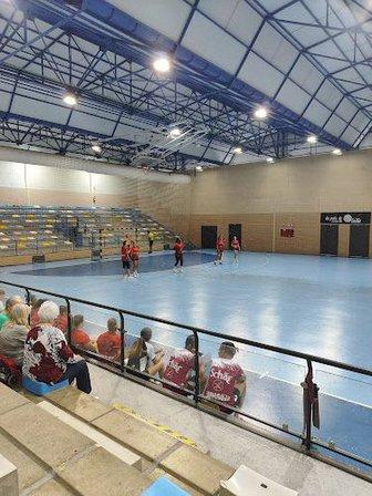 Club de Balonmano de Leganés