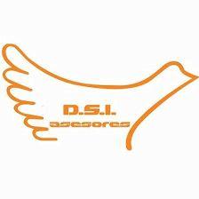 ASESORIA : DSI ASESORES