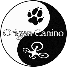Drones Origen Canino SL
