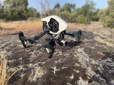 Drones Origen Canino SL