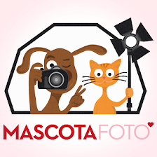 MascotaFoto · Fotógrafo de Perros, Gatos y Mascotas en Madrid