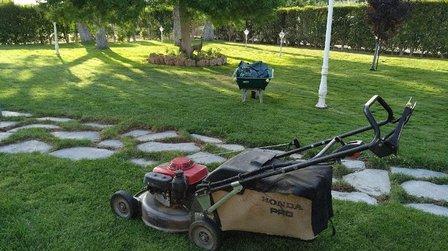 Ray verde jardinería