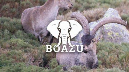 BOAZU Hunting