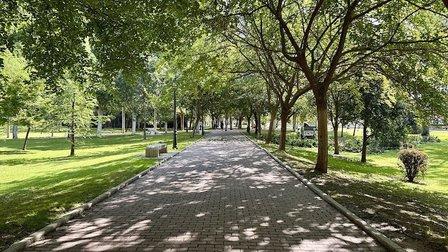 Autonomous University of Madrid
