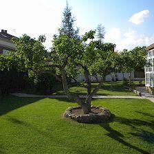 jardihenares