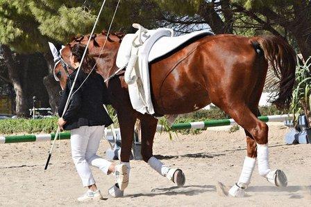 VOLTEO STAR MADRID