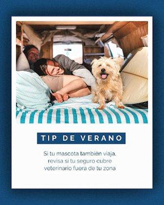 Summa Insurance | Correduría de Seguros Alcorcón