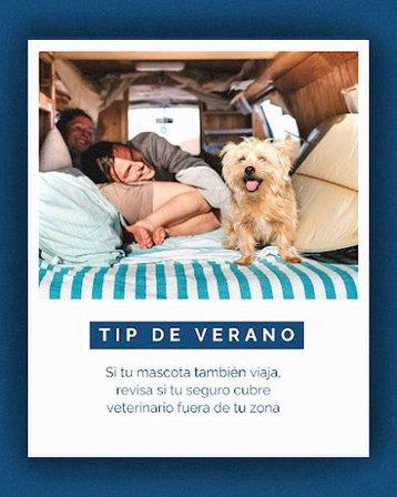 Summa Insurance | Correduría de Seguros Alcorcón