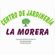 Centro De Jardinería La Morera
