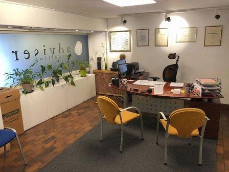 Adviser Consulting