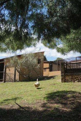 Granja Escuela Onceolivos