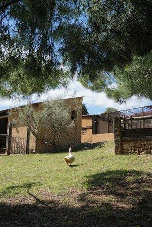 Granja Escuela Onceolivos