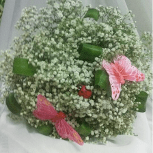 Floristería Flor Del Día – Flores a Domicilio en Rivas