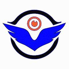 Toledrón Formación y Servicios Profesionales con Drones