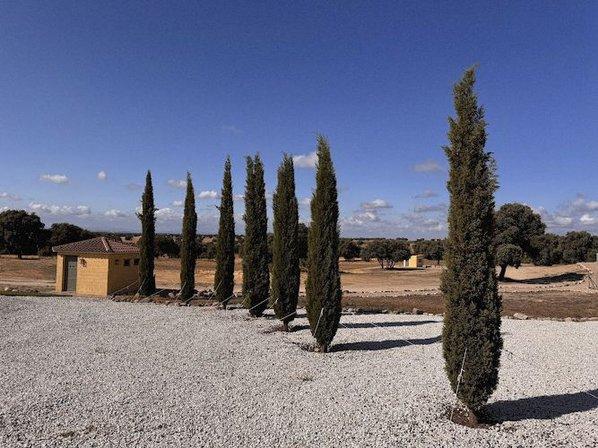 Finca El Rubio