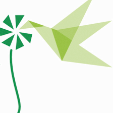 Colibrí. El Arte de Aprender Jugando