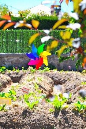 Colibrí. El Arte de Aprender Jugando