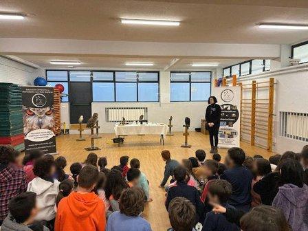 DAMA DO VENTO, Educación Ambiental y Actividades con Aves Rapaces